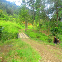 binzkhu