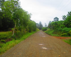 kendu