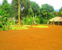 ombina1