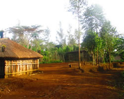 kurumul1