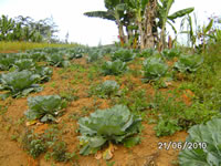 img2