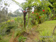 img9